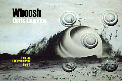 Whoosh by Doris Laughton