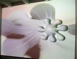 Splats in Video Capture