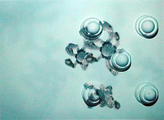 Splats in Video Capture