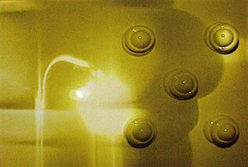Video Capture Splats in Video 2006